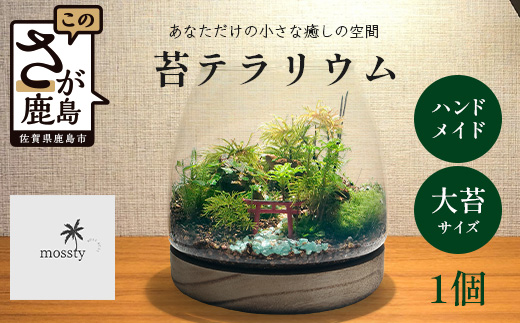 J-33　苔テラリウム　手入れ簡単 癒やしのインテリア 卓上サイズ 誕生日 プレゼント雑貨 敬老の日 贈り物 観葉植物 初心者 鹿島市産 / mossty