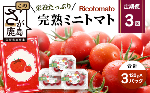 【3回定期便】【先行予約】完熟ミニトマト 【少量パック】120gx3p　たにぐちファーム 完熟ミニトマト 360g とりこになるトマト 野菜 とまと トマト リコピン 佐賀産 佐賀県 鹿島市　D-242