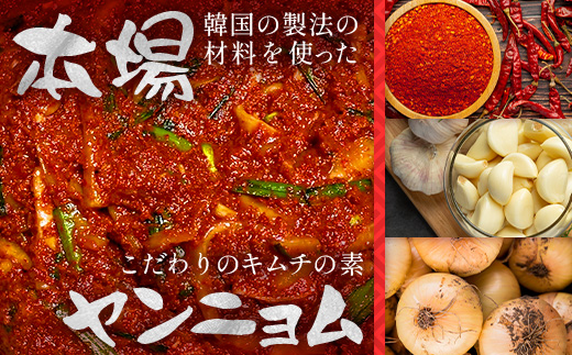 熟成発酵無添加キムチ詰め合わせセット（白菜キムチ　れんこんキムチ　さきいかキムチ）C-158