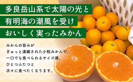 ãå
è¡äºçŽããçºéã¯2026幎10æäžæ¬ãã11æäžæ¬ãããããŒãããã¿ããâãã¬ãã¢ã âçŽ2kgïŒç®±èŸŒã¿ééïŒïœãæ°ééå®ãå°ç²ãµã€ãº ãå®¶åºçšïœäžå£ã§é£ã¹ãããæ¿çž®æšã¿ ïœçç£è
çŽé åœç£ äœè³çç£ ãã«ã³ èæ æç© ãã«ãŒã éæç¡æ A-224