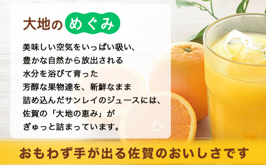 ＼工場直送／ 果汁100% みかんジュース 24本 みかんのきもち ペットボトル 280ml×24本 飲みきりサイズ | みかん ジュース 温州みかん ミカン 蜜柑 飲み物 オレンジジュース 佐賀みかん 飲料 ふるさと 佐賀県 鹿島市 人気 リピーター 送料無料 B-192