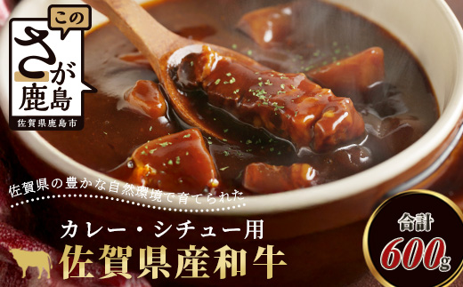 B-81 ＼生活応援／佐賀産 和牛 カレー・シチュー用 600g 佐賀産和牛 肉 佐賀 牛肉 佐賀県 鹿島市 冷凍 送料無料 人気