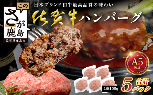 佐賀牛ハンバーグ 150g×5パック 計750g 牛肉 ブランド牛 黒毛 和牛 上質 はんばーぐ 惣菜 B-904