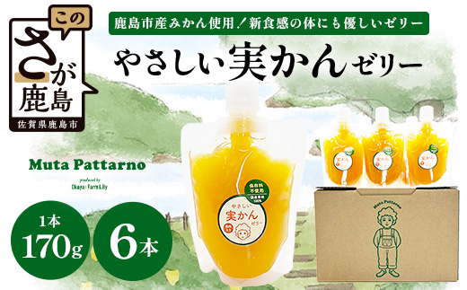 B-913 ããããå®ãããŒãªãŒ 6å ã»ãã èŽç ã®ãã å®ç æž©å·ã¿ãã äœ¿çš ä¿åæäžäœ¿çš ã¹ã€ãŒã ãã¶ãŒã