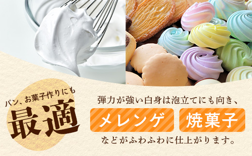 D-117【定期便】佐賀鹿島産 平飼い初卵「うみとやまとこっこ」 上田養鶏場 たまご60個×3回