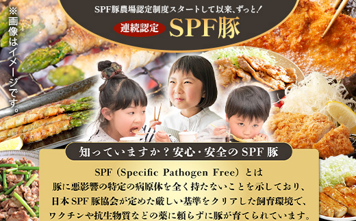SPF芳寿豚ウィンナー得々セット(300g×7袋)【総重量2.1kg】【SPF芳寿豚100％使用】ジューシーな あらびきウインナー B-528