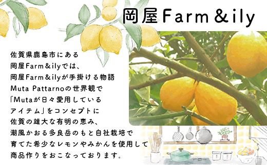 螳晞涕蟇ソ繝ャ繝「繝ウ縺ョ邊セ豐ケ繧剃スソ逕ィ縺励◆縲伸EMON BALMシ医Ξ繝「繝ウ繝舌シ繝シ峨 1蛟 菴占ウ逵 鮖ソ蟲カ蟶 A-222