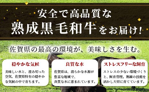 W-2  【熟成肉『堪能』コース５回定期便】佐賀県産黒毛和牛 ロースステーキ＆すきやき肉