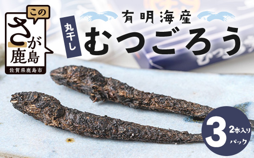 A-29  丸干しむつごろう 2本入り×3袋 むつごろう ムツゴロウ おやつ おつまみ 温め不要 調理不要 有明海産 佐賀県 鹿島市 送料無料