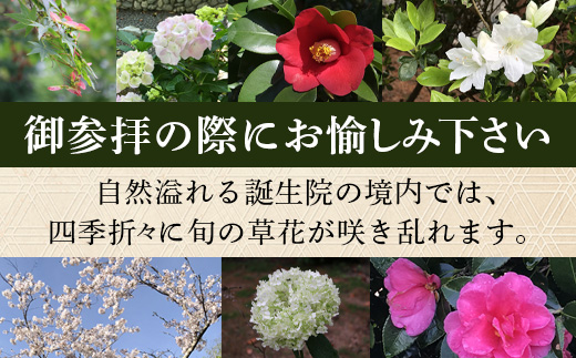 樹木葬永代供養墓「密厳」　佐賀県 鹿島市 鹿島 誕生院 お寺 寺院 樹木葬 永代供養 宗教 宗派 檀家 墓じまい 管理費不要　V-61