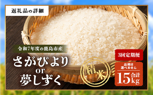【定期便3回】令和7年産 鹿島市産 [さがびよりor夢しずく] 5kg 1袋 合計15kg 【品種指定不可】 玄米 精米 F-92