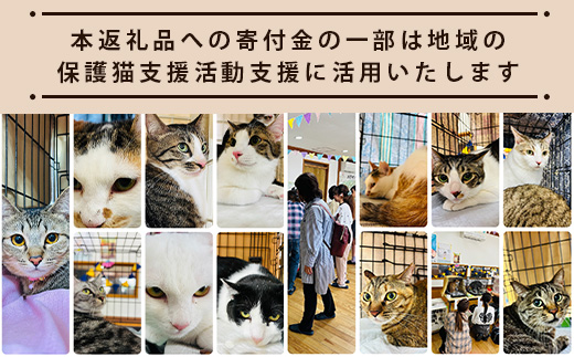 鹿島猫チャーム｜保護猫カフェねこの蔵 チャーム 保護猫 猫 古民家カフェ 支援 鹿島市 猫カフェ カフェ プレゼント　AA-64