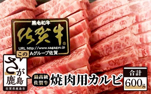 D-61  最高級ブランド牛『佐賀牛』　カルビ焼肉用　６００ｇ