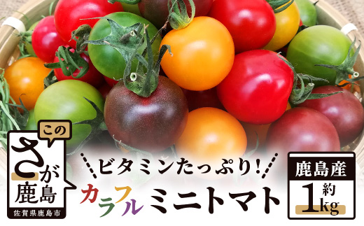 【先行予約】 たにぐちファーム カラフルミニトマト 約1kg 『Ricotomato とりこになるトマト』 B-280