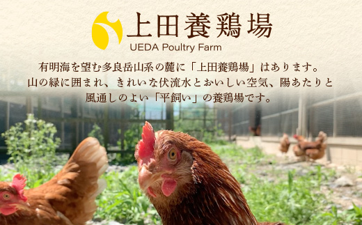 D-117【定期便】佐賀鹿島産 平飼い初卵「うみとやまとこっこ」 上田養鶏場 たまご60個×3回