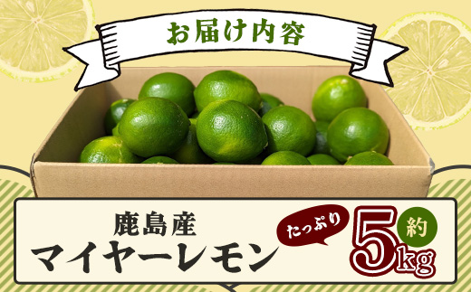 【産地直送】【農家直送】【予約受付】【数量限定】佐賀県鹿島市産 マイヤーレモン 5kg サイズ混合【9月中旬頃より配送】B-726