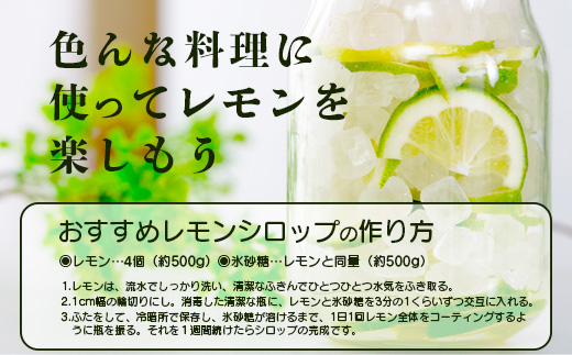 B-367 リスボンレモン【約5kg】メディアも注目の柑橘類の名人直送！レモン れもん 檸檬 果物 生搾り 料理 菓子 サワー お酒 国産 佐賀県鹿島市産 人気 