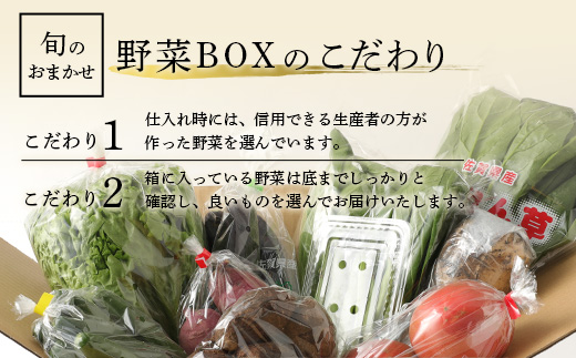 H-13 【１２ヶ月お届け】旬のおまかせ野菜BOX定期便