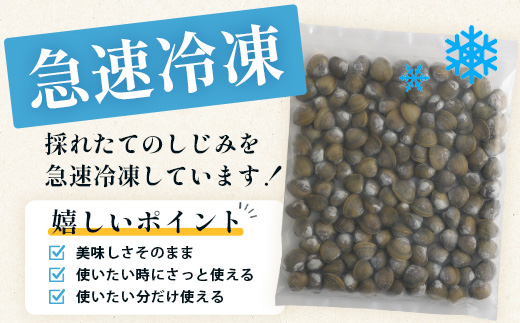 AA-18 冷凍シジミ１kg（500g×2袋）