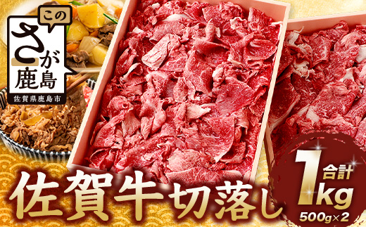 佐賀牛 切り落とし 500g×2【合計1kg】牛肉 肉 佐賀牛 切り落し 切落し 切りおとし D-186