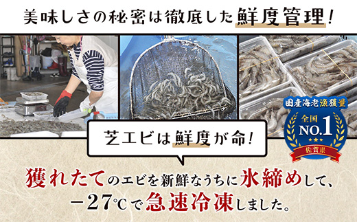 A-233 国産天然海老 有明海産 生芝エビ 刺身用 200g（100g×2パック）生食用 ｜化粧箱入り のし対応 贈答用 ギフト お中元 お歳暮 