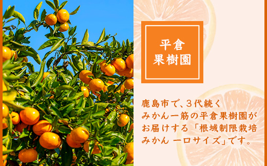 【１２月～１月上旬お届け】鹿島みかん 根域制限栽培一口みかん 約５.５ｋｇ A-178