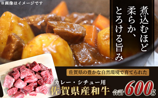 B-81 ＼生活応援／佐賀産 和牛 カレー・シチュー用 600g 佐賀産和牛 肉 佐賀 牛肉 佐賀県 鹿島市 冷凍 送料無料 人気