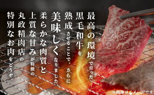 E-49 ãçæèãäœè³çç£é»æ¯åç çè©ããŒã¹ çŒèçš 500ïœ