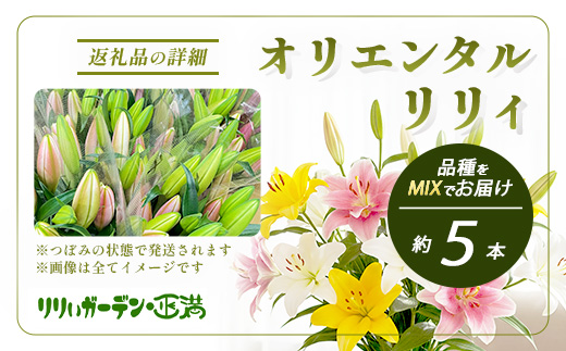 【生産者直送】【幸せと笑顔を届けるオリエンタルリリィ（約5本）】ユリ 百合 花 切り花 フラワー 艶やか 美しい 華やか 可憐 鮮やか 長持ち 強い 有機肥料 自然 人気 ラッピング プレゼント 贈り物 贈答 佐賀県 鹿島市 送料無料 B-313