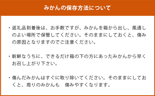 【先行予約】（2026年11月上旬～発送）”わーがと”鹿島産がばい訳アリみかん 約10kg【サイズ別】 【期日指定不可】みかん ミカン 蜜柑 柑橘 果物 フルーツ 甘い ふるさと納税 佐賀県 鹿島市 A-90