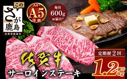 【定期便2回配送】＼極上のご褒美肉！／佐賀牛サーロインステーキ 200g×3枚 全2回配送 計1,200g｜A5・A4等級 厳選黒毛和牛 とろける霜降り 高級ステーキ 贈答 ギフト対応可 定期便 定期配送 国産牛 佐賀県鹿島市 送料無料 H-51