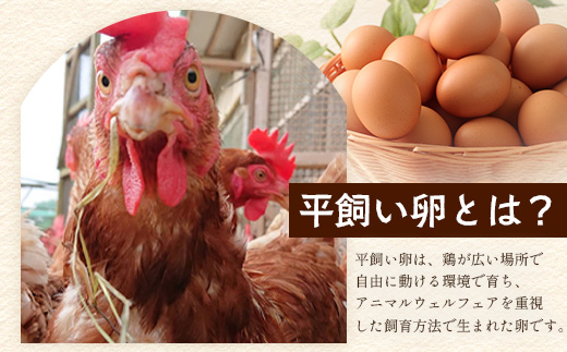 ＼濃厚卵のマヨネーズ／瓶詰め マヨネーズ 3本セット | 上田養鶏場のこっこの陽なたマヨ 170g | マヨネーズ マヨ 調味料 たまご 平飼い お料理 安心 安全 玉子 サラダ ディップ ポテトサラダ ドレッシング 送料無料　B-812