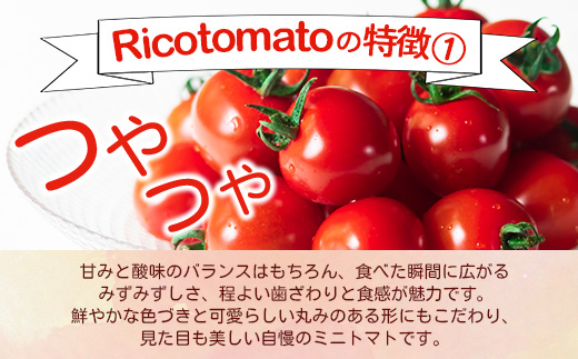 ãå
è¡äºçŽãã2025幎12æäžæ¬ããåºè·ããã«ãã¡ãã¡ãŒã å®çããããã çŽ1kg ãRicotomato ãšããã«ãªããããã B-324