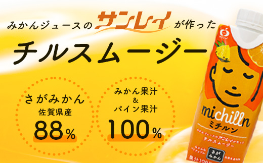 果汁ミックスジュース　ミチルン　330ml×12本　B-763