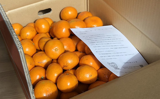 【先行予約】（2026年11月上旬～発送）”わーがと”鹿島産がばい訳アリみかん 約10kg【サイズ別】 【期日指定不可】みかん ミカン 蜜柑 柑橘 果物 フルーツ 甘い ふるさと納税 佐賀県 鹿島市 A-90