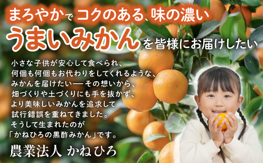 ããã²ãã®é»é
¢ã¿ããã10kg Sïœ2L ãµã€ãºå¥ãå
è¡äºçŽã11æäžæ¬ïœ1æäžæ¬é çºéäºå®ãæž©å·ã¿ãã ãµãããšçŽçš ã¿ãã 10kg å°é 倧容é ãã«ãŒã çã ãžã¥ãŒã·ãŒ æç© èæ ãåãå¯ã 蟲家çŽé åœç£ ä¹å· äœè³ç é¹¿å³¶åž éæç¡æ B-911