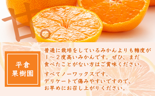 【１２月～１月上旬お届け】鹿島みかん 根域制限栽培一口みかん 約５.５ｋｇ A-178