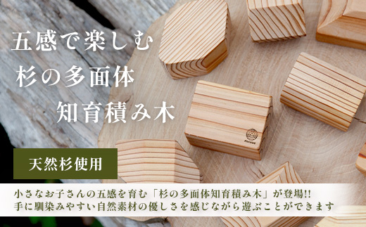 五感で楽しむー杉の多面体知育積み木｜佐賀県産 杉材使用 ｜木製 おしゃれ インテリア ｜ナチュラルな木のぬくもり｜ B-878