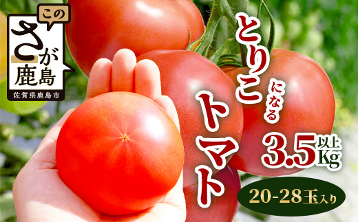 [先行予約] たにぐちファーム とりこになるトマト 3.5kg以上[2024年12月より発送開始] Ricotomato トマト