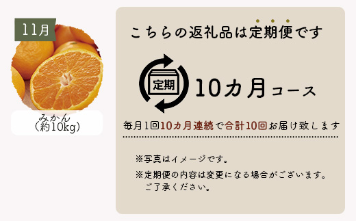 【10ヶ月定期便】 鹿島まるごと定期便 佐賀産和牛 夢しずく(米）海鮮しゅうまい 黒毛和牛 ジェラート 海苔佃煮 芳寿豚 野菜 果物 海苔 L-12