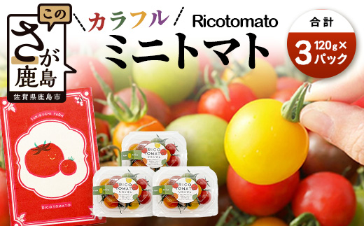 【先行予約】 カラフルミニトマト 【少量パック】 120gx3p　たにぐちファーム カラフルミニトマト 360g とりこになるトマト 野菜 とまと トマト リコピン 佐賀産 佐賀県 鹿島市　A-211