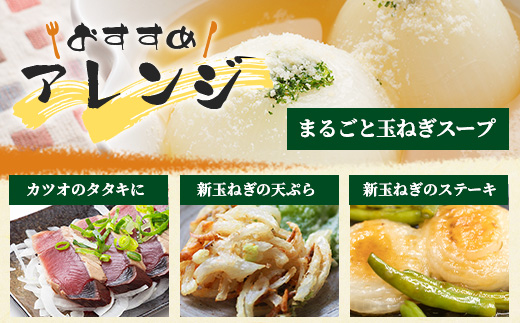 甘～い！新たまねぎ 約5kg (MLサイズ）生産者直送！★大自然育ち【2026年4月より順次発送】タマネギ 玉葱 新タマ 新玉ねぎ サラダ 惣菜 お料理 ストック 箱買 美味しい 甘い 常備野菜 佐賀県 鹿島市産 人気 送料無料 A-180