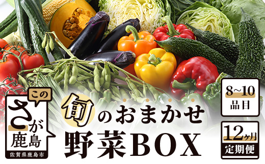 H-13 【１２ヶ月お届け】旬のおまかせ野菜BOX定期便