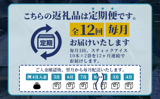 定期便 (12回定期便) さがん氷 かちわり氷 スティックアイス 10本×2セット 合計240本 L-55 藤津製氷 こおり 氷 ロック アイス 佐賀 鹿島 九州