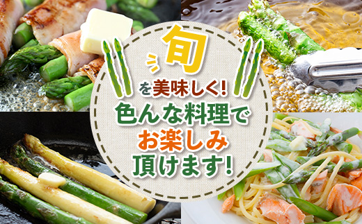 【先行受付】（お届けは2026年6月～7月頃）新鮮朝獲れ！！鹿島市産 アスパラガス 合計500g 【美味しい野菜で彩を】アスパラ 野菜 やさい 九州 国産 佐賀　B-854