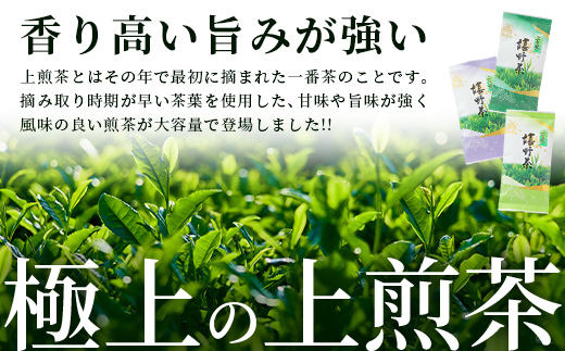 新茶 お茶 上煎茶 500g (100g×5本) 佐賀県 鹿島市 うれしの茶 嬉野茶 緑茶 日本茶 茶葉 煎茶 セット 伝統 九州 さが 国産 送料無料 ギフト 贈り物 贈答 お取り寄せ 深み コク 法事 普段使い 詰め合わせ 常温 保存 C-201