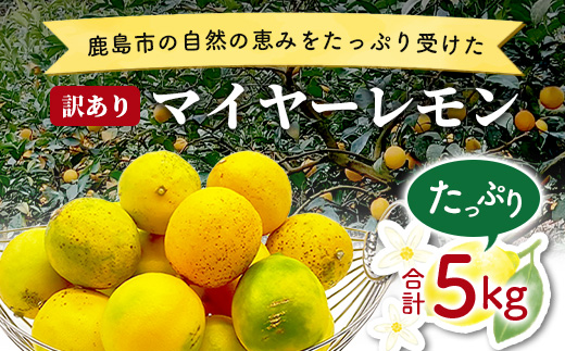 【訳あり】【産地直送】【農家直送】佐賀県鹿島市産 マイヤーレモン 5kg サイズ混合 酸味 美味しい お酒 生絞り 料理 お菓子 家庭用 【９月～2月頃まで配送】 A-191