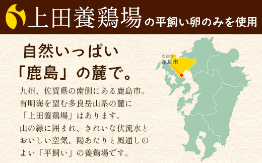 ＼濃厚卵のマヨネーズ／瓶詰め マヨネーズ 3本セット | 上田養鶏場のこっこの陽なたマヨ 170g | マヨネーズ マヨ 調味料 たまご 平飼い お料理 安心 安全 玉子 サラダ ディップ ポテトサラダ ドレッシング 送料無料　B-812