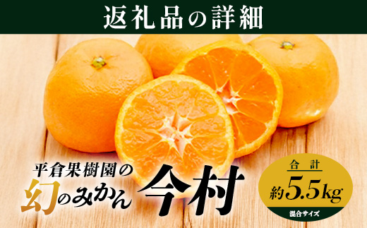 B-345《まぼろしのみかん》鹿島 平倉果樹園のみかん『今村』 約5.5kg サイズ混合 みかん 希少 幻 まぼろし 蜜柑 ミカン オレンジ フルーツ 果物 高糖系 平均糖度12度 佐賀県 鹿島市 人気 おすすめ 送料無料【2026年2月上旬から2月末まで配送】 B-345