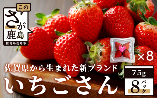 【先行予約】いちご 新ブランド 【いちごさん】 てのひらギフトセット 75g×8パック 計600g 1パック4〜5玉入 【2025年1月上旬～3月発送】 JA直送 鮮度抜群 佐賀県 鹿島市 A-153